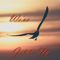 Terry x Zwolfgang - We've Got to Fly