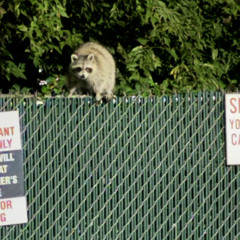 music meditation (Prod. Drecyy)