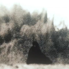 I AM THE LISAN AL GAIB.