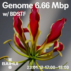 Genome 6.66 Mbp w/ bdstf on Bahui Radio