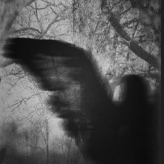 Backtothedrugs ft.someoneunknown