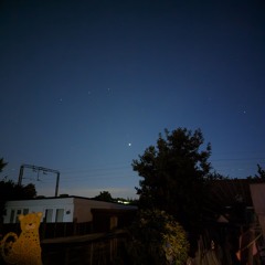 backhills 🌕      beat. dawg beatz