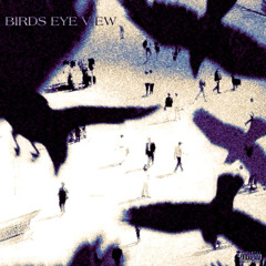 birds eye view (yung robin)