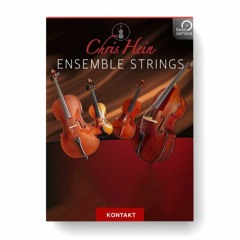 Best Service – Chris Hein Ensemble Strings Full Version Download