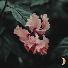 Khalid - Last Call (slowed)