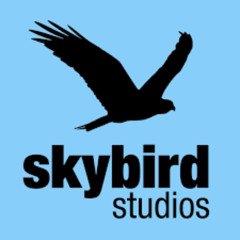 SRI Spring 2025 Program 1