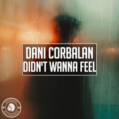 Dani Corbalan - Didn't Wanna Feel (Extended Mix)