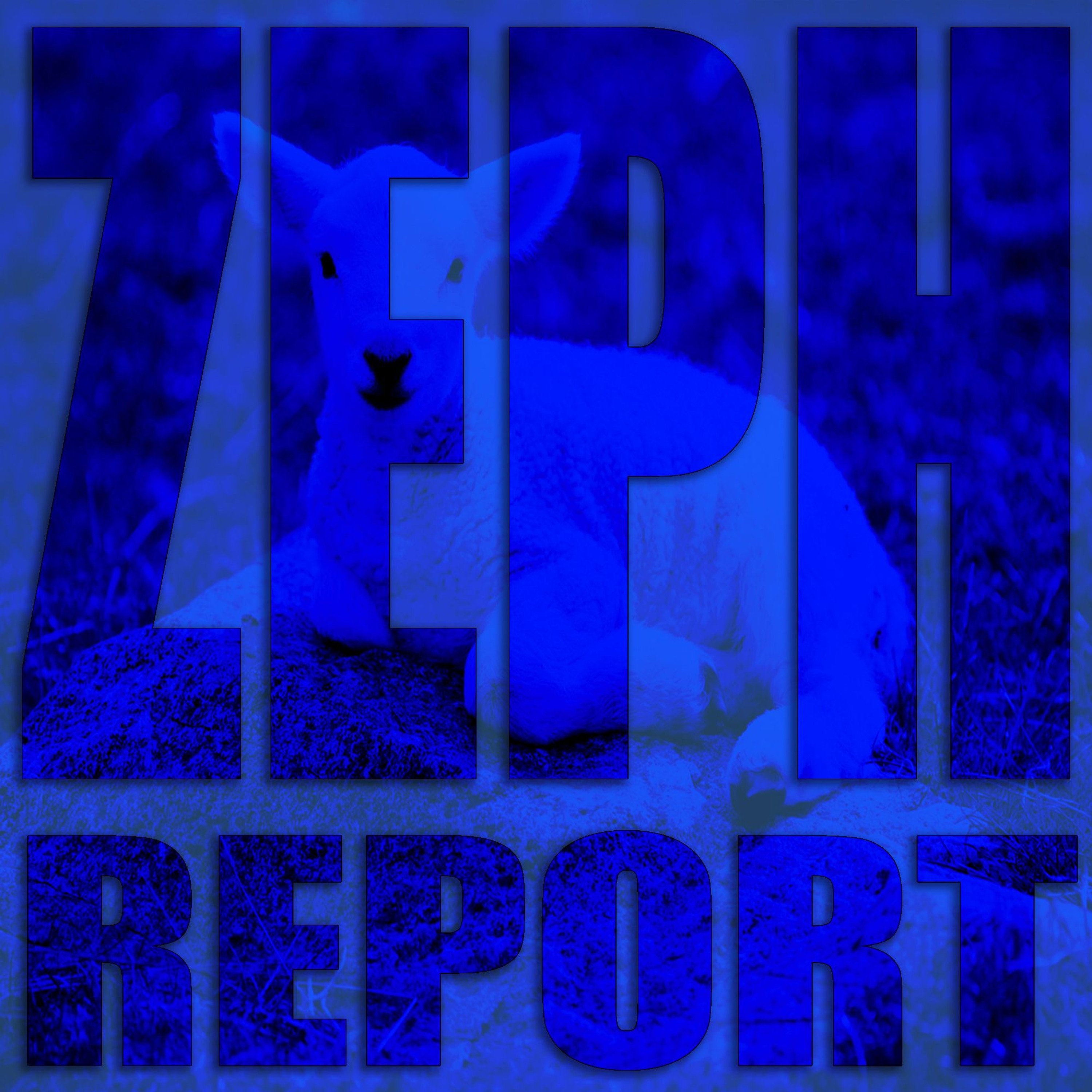 Z Media Worldwide Podcast and Music