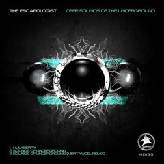 HD135 - The Escapologist - Sounds of the underground Mert Yucel_remix | Household  Recordings USA