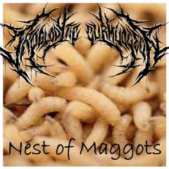 Troglodytic Curmudgeon - Nest of Maggots