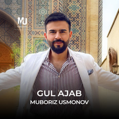 Gul Ajab