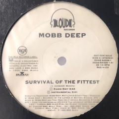 Mobb Deep - "Survival Of The Fittest" (EDIT) *FREE DOWNLOAD*