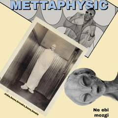 Mettaphysic-Southern Squad