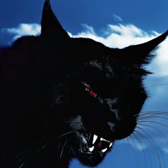 Shadow of my life freestyle