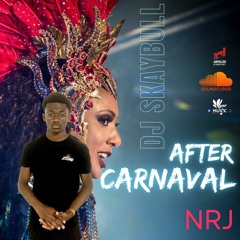 AFTER CARNIVAL 2024 - DJ SKAYBULL