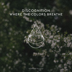 Discognition - Where The Colors Breathe