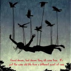 Good Dreams Bad Dreams