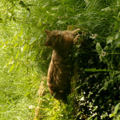 weet ik veel ik wil gewoon naar huis