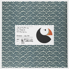 Breeze (Duv Tales & Kim Young iLL Remix)