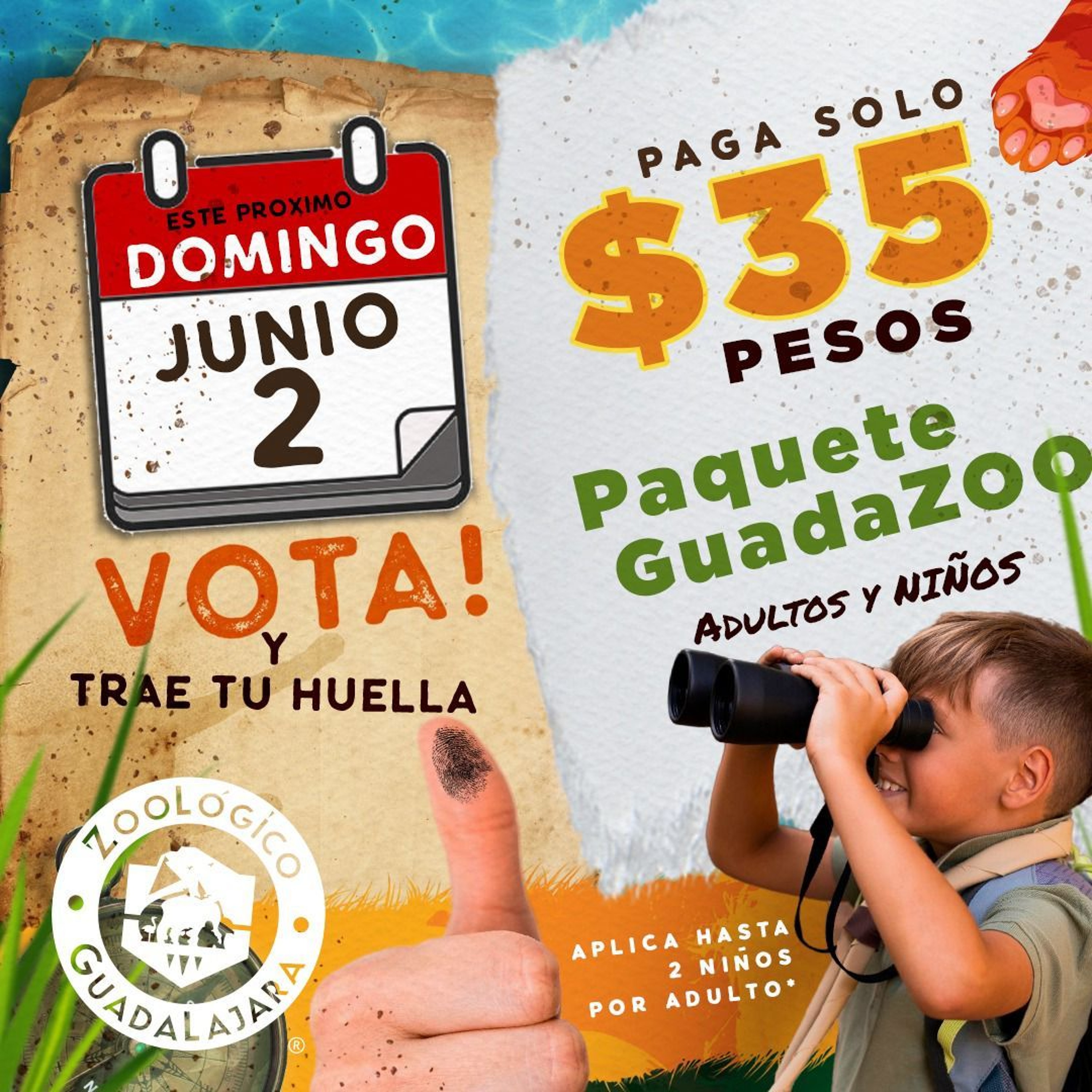 TU VOTO TE LLEVA AL ZOOLÓGICO GUADALAJARA episode artwork