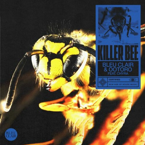Bleu Clair, OOTORO Feat. Chyra - Killer Bee