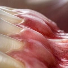 малина (freestyle)