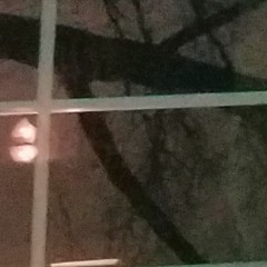 WHATCHUREALLYWANNADO? (PART 1.9)