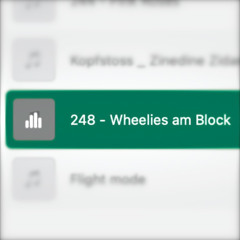 248 - Wheelies am Block