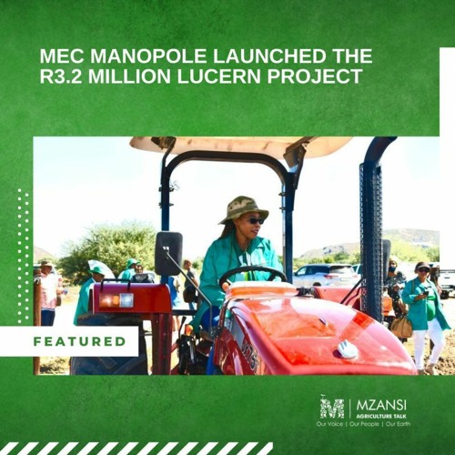 Stream episode MEC MANOPOLE LAUNCHED THE R3.2 MILLION LUCERN PROJECT by  Mzansi Agriculture Talk podcast | Listen online for free on SoundCloud
