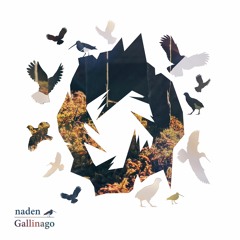 Naden - Coturnix