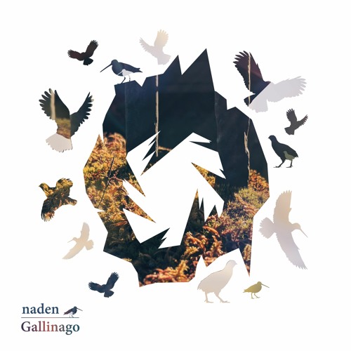 Naden - Sonorous