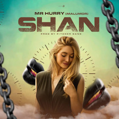 Mr Hurry (Malumor) feat Motion - Shan