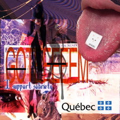 Catching Up With Destiny   [+silverfish]