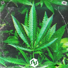 ːː cannabis w/milli one ːː