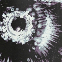 Spinosaurus - Busqueda (KUZIDE Remix)
