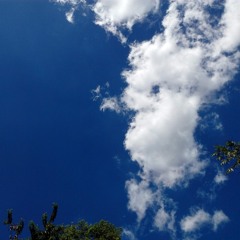 I Think About It All the Time