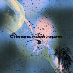 Степень моей жизни