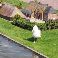 Steven Seagulls Tiny House