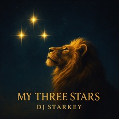 My Three Stars