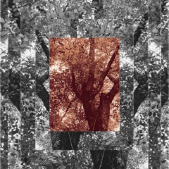 Perduto (Original Mix)