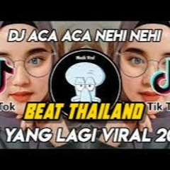 DJ ACA ACA NEHI NEHI SLOW REMIX STYLE THAILAND VIRAL TIKTOK TERBARU 2021(NWP REMIX)