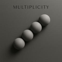 MultipliciTy - Ouzil Jagger