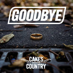 Goodbye