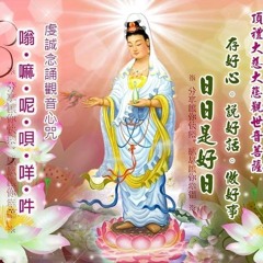 taiwan shawdy