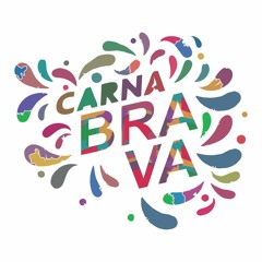 #CarnaBRAVA2024: Os 12 Gritos Cariocas de Carnaval do Grupo Especial