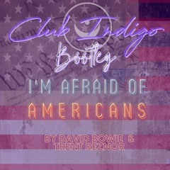 David Bowie and Trent Reznor - I'm Afraid Of Americans (Club Indigo's Chill TF Out Bootleg Remix)