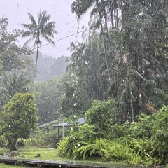Rainy rush