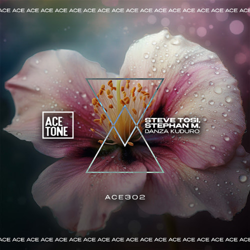 Steve Tosi, Stephan M - Danza Kuduro