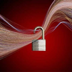 Cyber Security - Advice from our experts