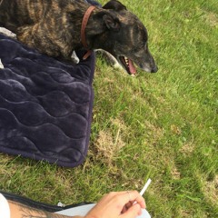 Laura #QuarantineSessions